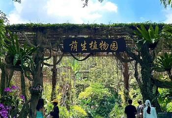 青秀山第 144 张图片