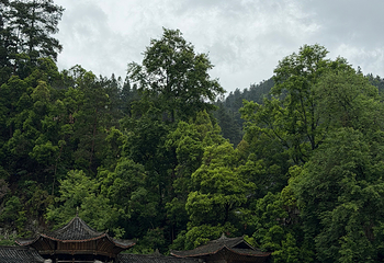 郎德苗寨景区第 80 张图片