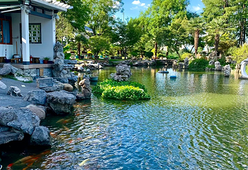 玄武湖景区第 75 张图片