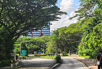 新加坡国立大学第 45 张图片