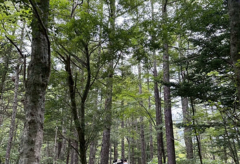 上高地第 33 张图片