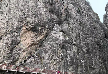 老君山景区第 146 张图片