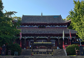 君山岛景区第 37 张图片