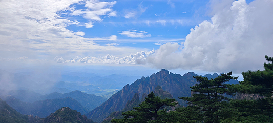 黄山风景区第 68 张图片