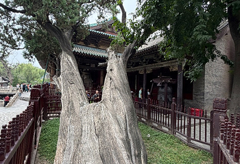 晋祠博物馆第 517 张图片