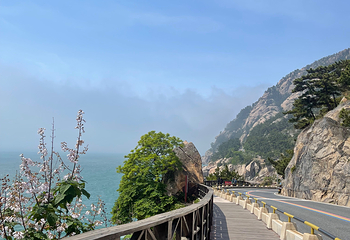 崂山风景区第 288 张图片