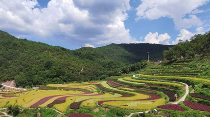 核桃箐彝族文化生态旅游景区第 1 张图片