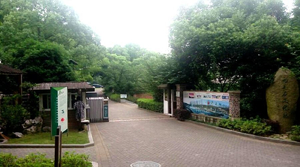 雨花石文化区第 1 张图片