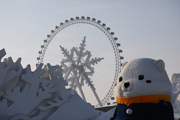 哈尔滨冰雪大世界第 248 张图片