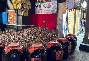 张家界七十二奇楼第 15 张图片