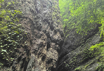 白石山世界地质公园第 170 张图片