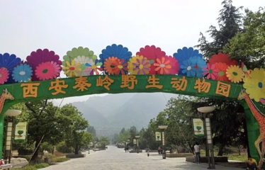 西安秦岭野生动物园第 42 张图片