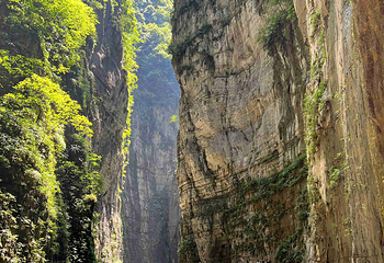 武陵山大裂谷第 29 张图片