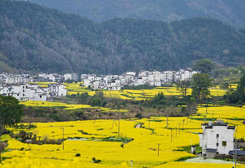 江岭景区第 53 张图片