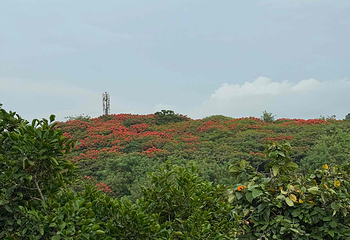 乌鲁瓦图寺第 25 张图片