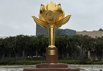 金莲花广场第 16 张图片