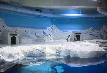 上海海洋水族馆第 74 张图片