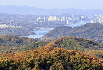 朱雀山国家森林公园第 22 张图片