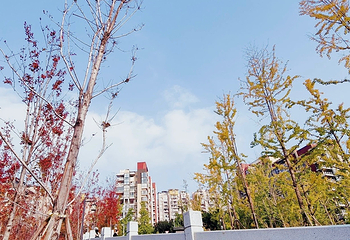 滨江公园第 110 张图片