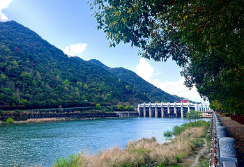 千岛湖华美胜地度假区第 42 张图片