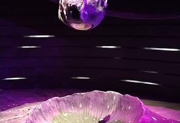 上海温室花园第 336 张图片