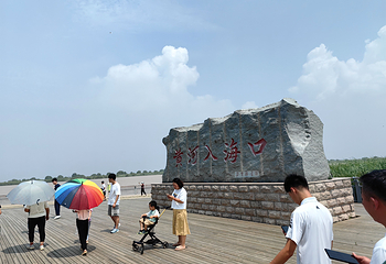 黄河口生态旅游区第 68 张图片
