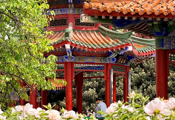 中国国花园第 16 张图片