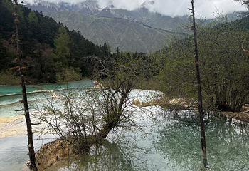 黄龙风景名胜区第 267 张图片