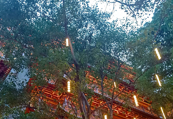 大佛古寺第 111 张图片