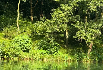 西湖风景名胜区第 377 张图片