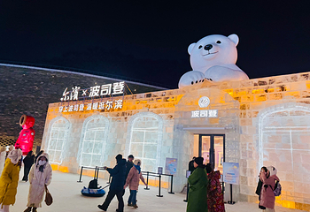 哈尔滨冰雪大世界第 197 张图片