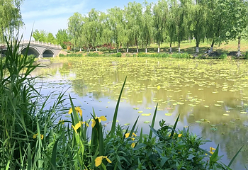 西安浐灞国家湿地公园第 66 张图片