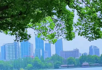 玄武湖景区第 131 张图片