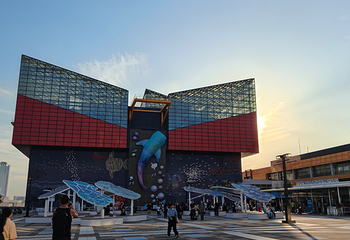 大阪海游馆第 35 张图片
