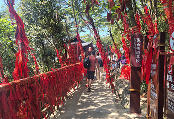 天门山国家森林公园第 523 张图片