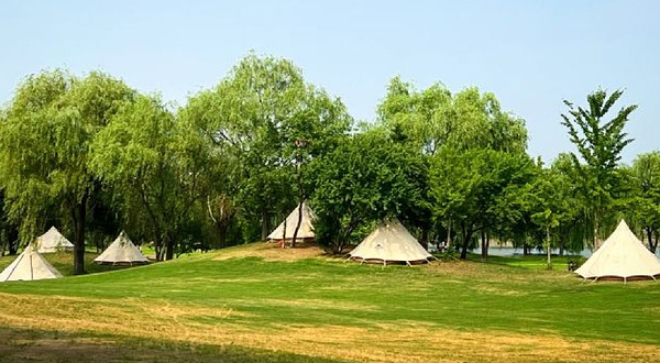 大热荒野EAGLE CAMP站