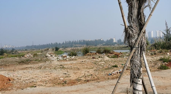 五源河森林公园