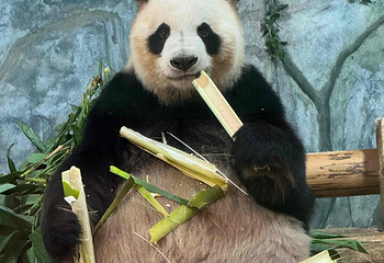 深圳野生动物园第 48 张图片
