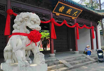 上海大观园第 36 张图片