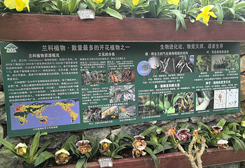 青秀山第 132 张图片