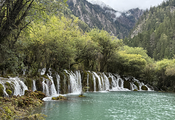 九寨沟风景区第 554 张图片