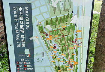 李中水上森林公园第 62 张图片