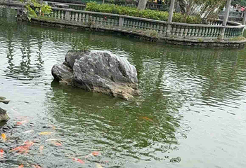 七星岩第 110 张图片