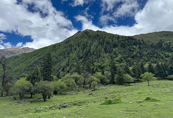 四姑娘山双桥沟景区第 113 张图片