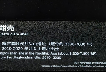 浙江省博物馆(之江馆区)第 161 张图片