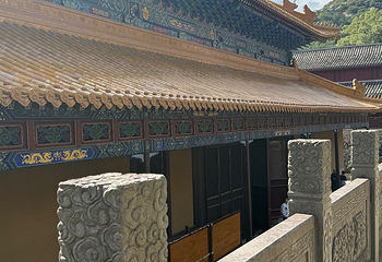 普陀山风景区第 235 张图片