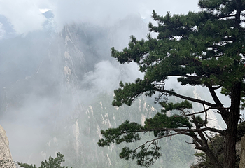 华山第 271 张图片
