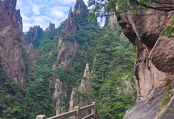 黄山风景区第 242 张图片