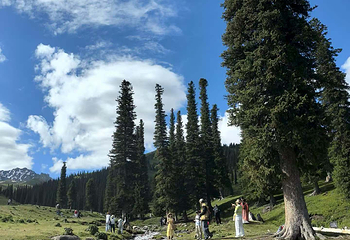 那拉提旅游风景区第 153 张图片