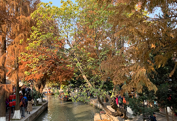 朱家角古镇景区第 166 张图片